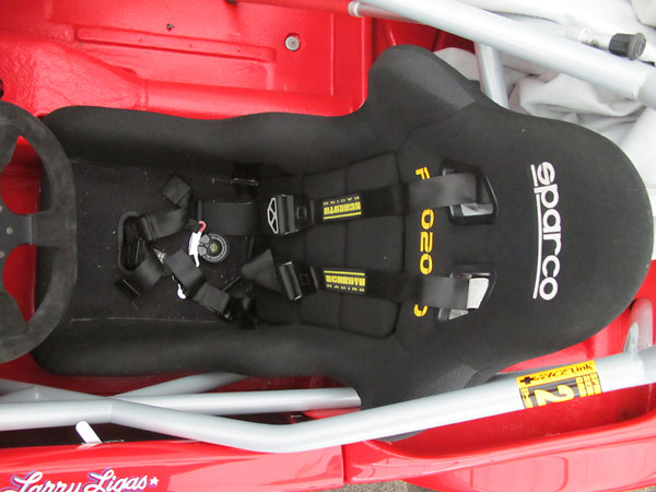 Schroth Racing six point safety harness.