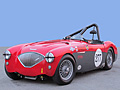 Michael Bartell's 1956 Austin Healey 100M